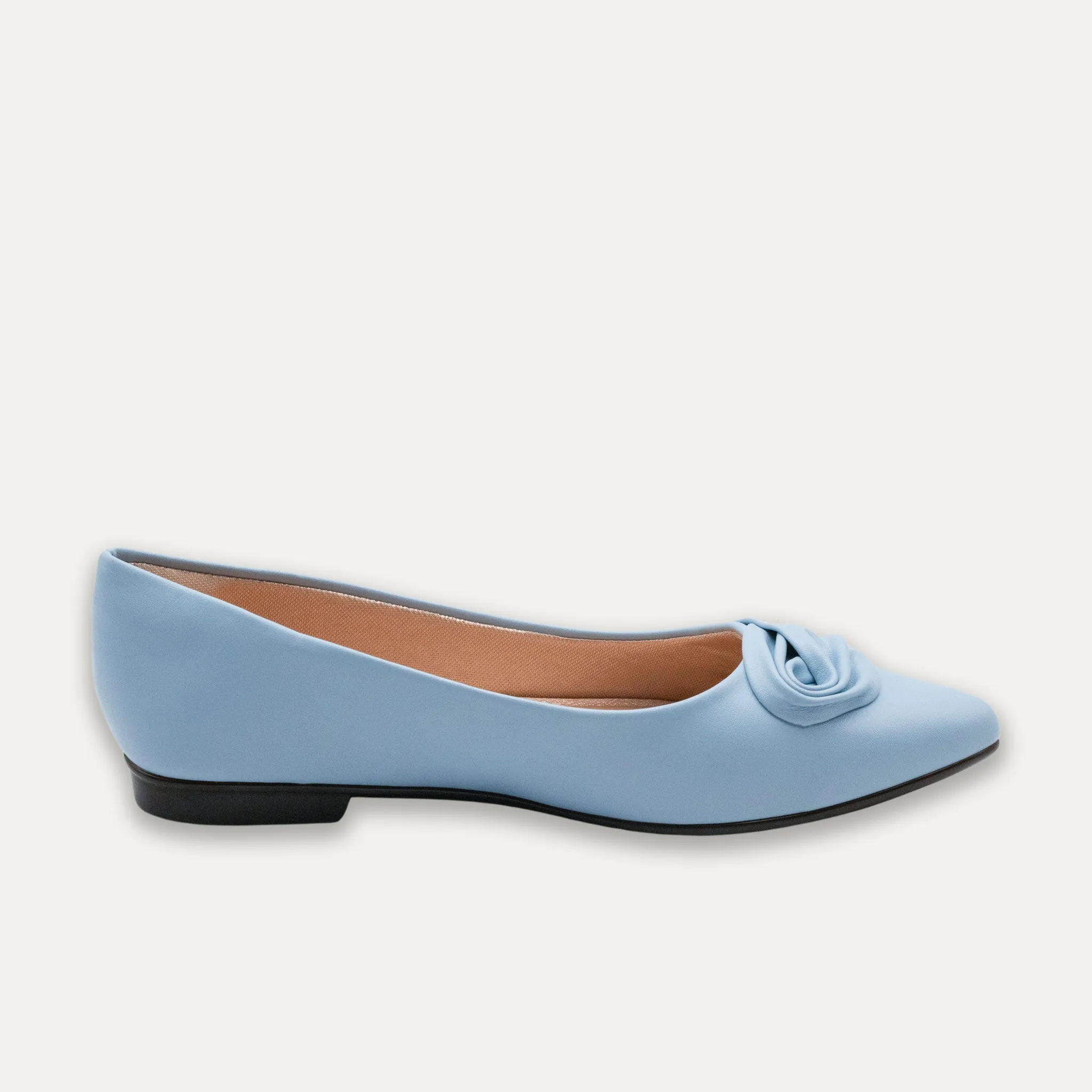 Carmen Blue Pointed Toe Flats