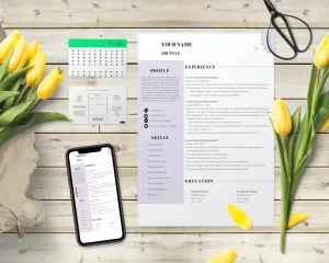 Clean Resumes, CV Templates