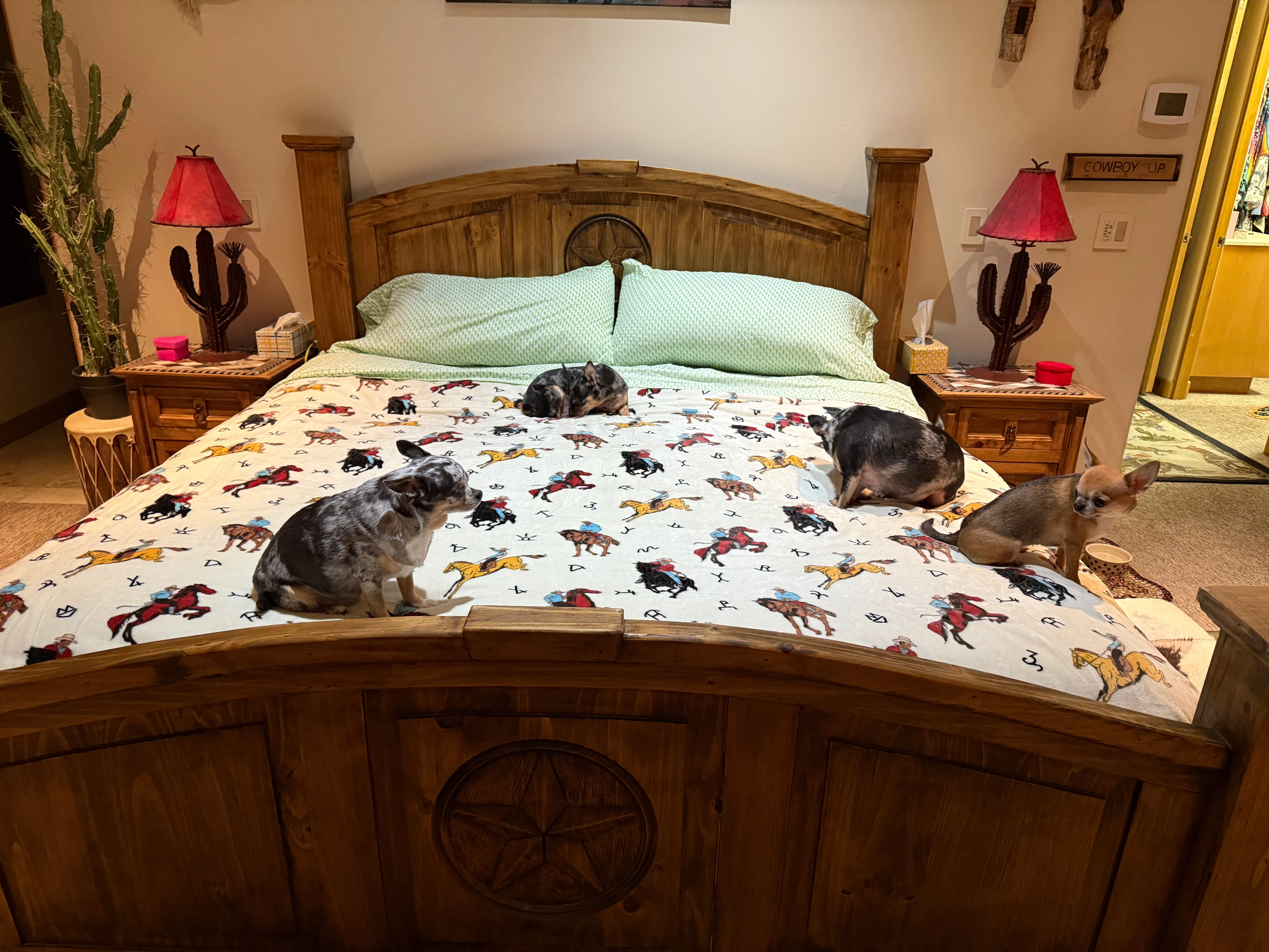 HUGE King Southwest LUXURY flannel BLANKET