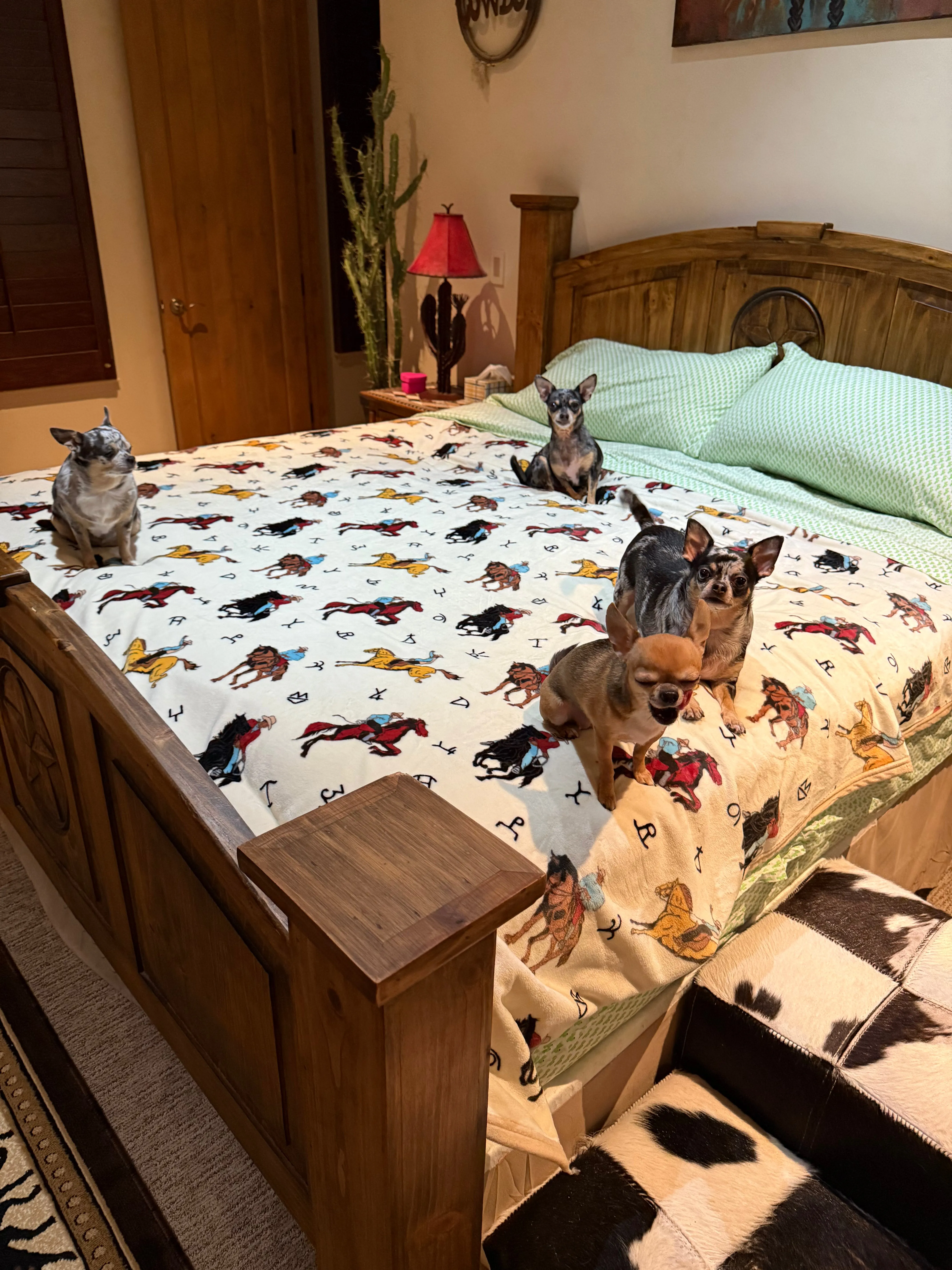 HUGE King Southwest LUXURY flannel BLANKET