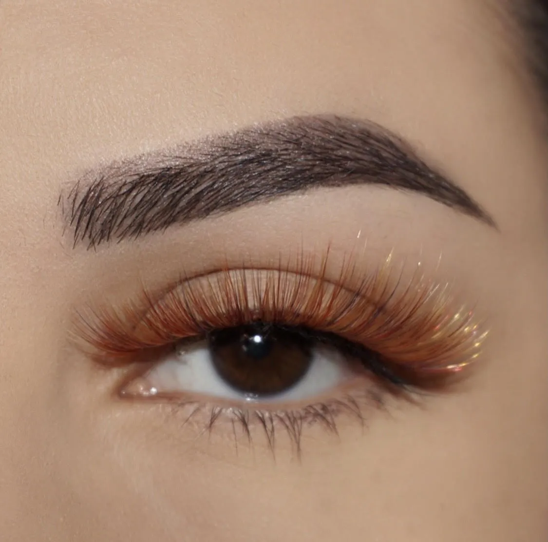 LashyBox Pumpkin Lashes