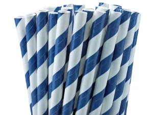 NAVY STRIPE PAPER STRAWS
