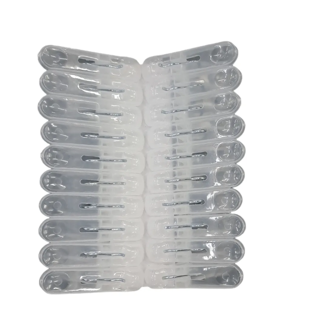Plastic Pegs 20 Piece