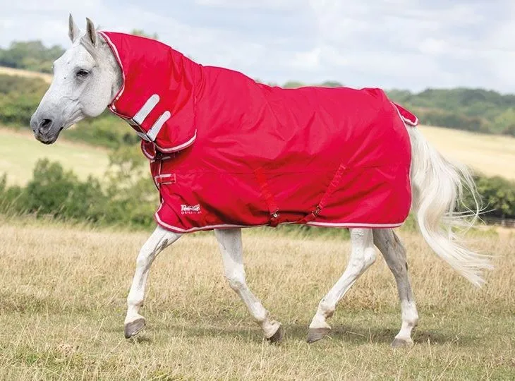 Shires Tempest Original Lite Turnout Combo
