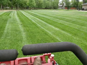 Spring clean up