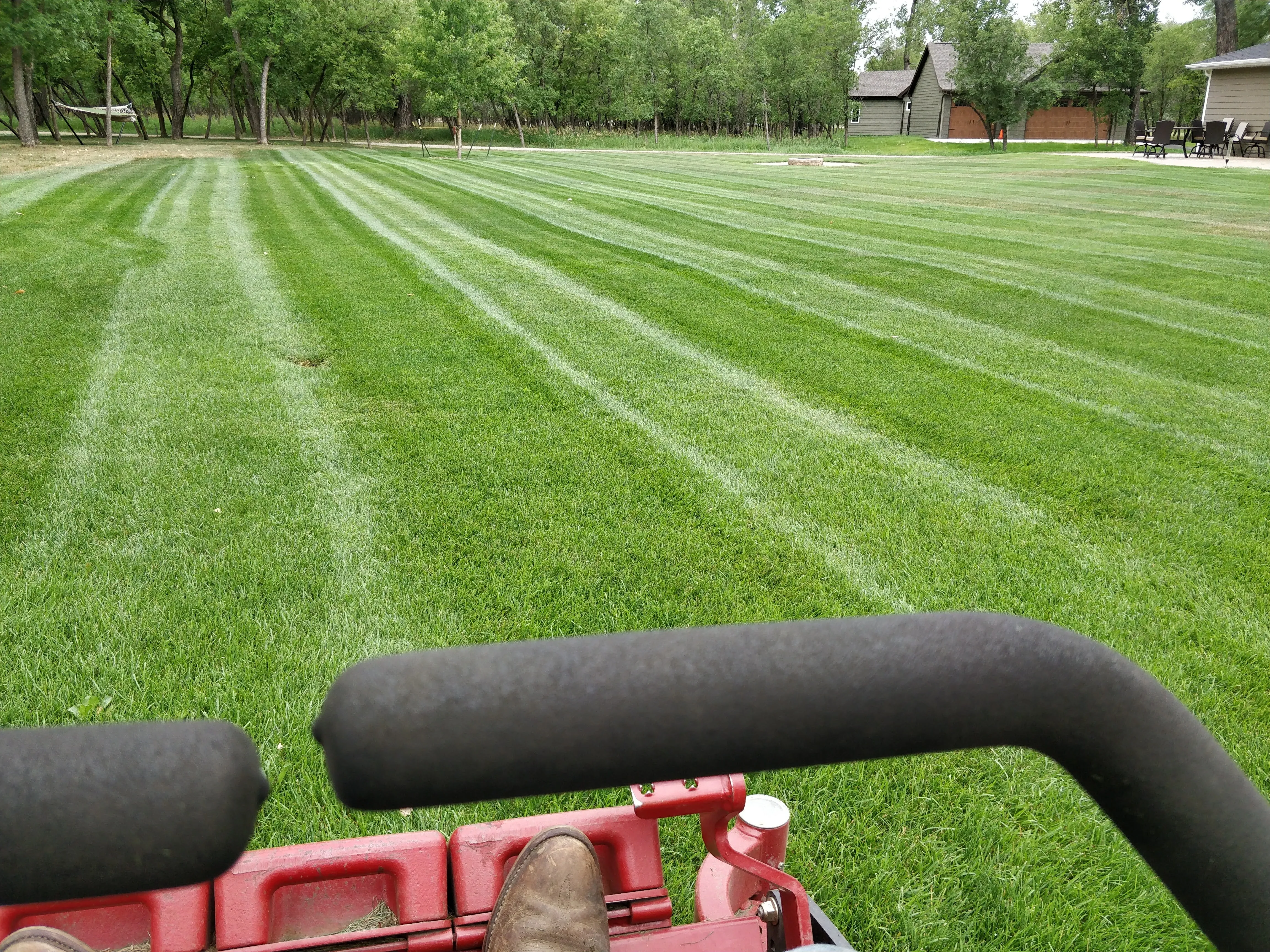 Spring clean up