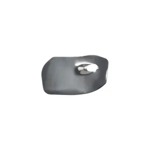 TREK TOP FUEL 29 CARBON CHAINSTAY STRIKE GUARD